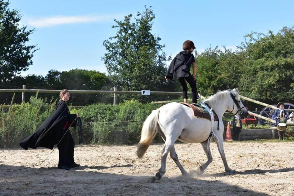 Ecuries Leseigneur - Camping Insolites Bolleville  Buitenkant foto